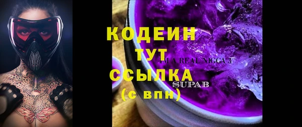 индика Баксан