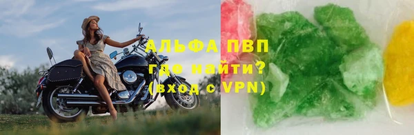индика Баксан