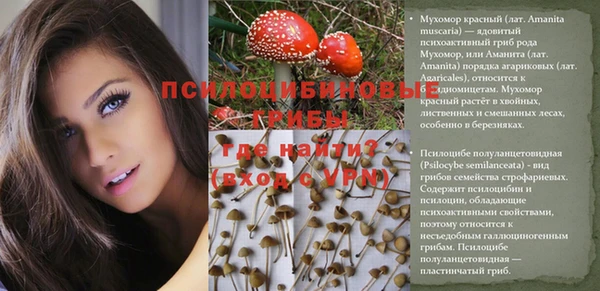 индика Баксан
