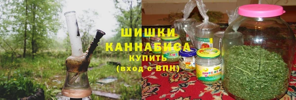 индика Баксан