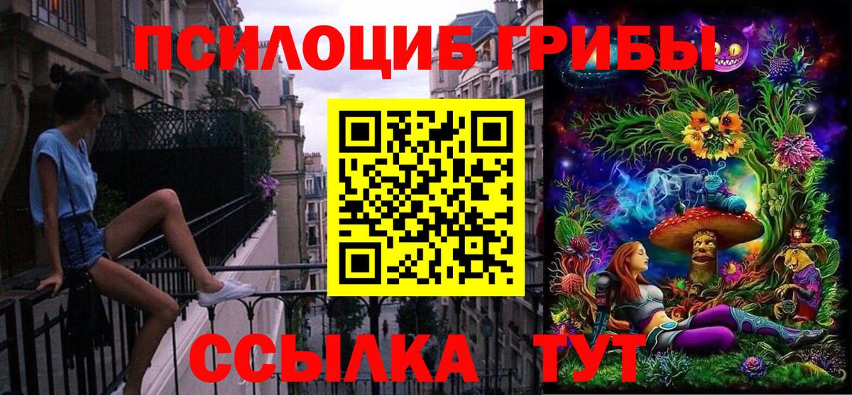 Галлюциногенные грибы Psilocybine cubensis  Вход с VPN  Бор 