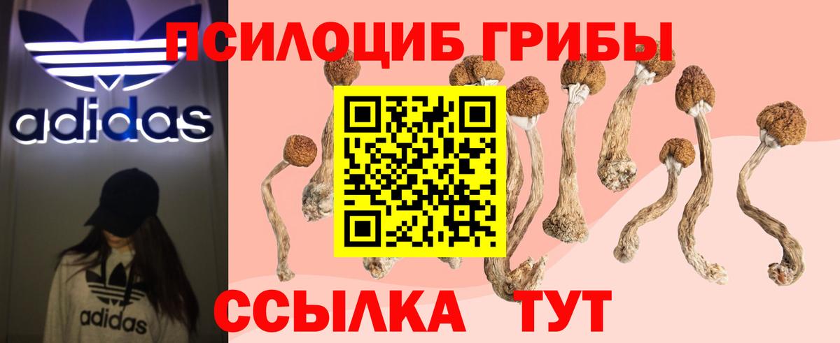 Галлюциногенные грибы GOLDEN TEACHER Бор